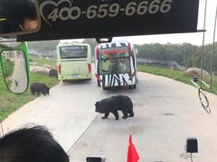 -西安秦岭野生动物园