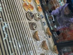 -华丰贺氏(营迹店)