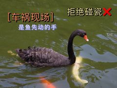 -深圳野生动物园