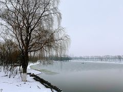 -大兴滨河森林公园