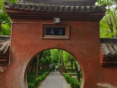 -洛阳白马寺