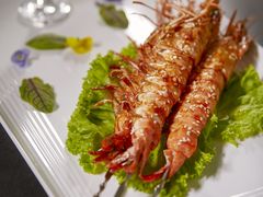 碳烤大虎虾-开海·红岛海鲜虾水饺(石老人店)