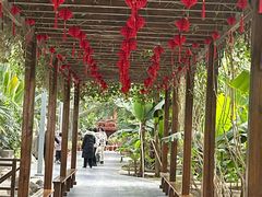 -兴芮温泉度假区