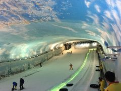 -世界之窗阿尔卑斯冰雪世界