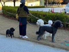 -金泽21世纪美术馆