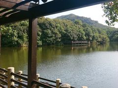 -白马涧龙池景区