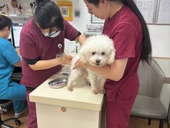 -宠颐生中康贝怡动物医院