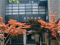 -苏州本色美术馆