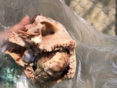 -洪记白水羊头(天坛店)