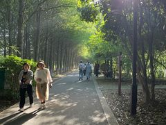 -苏州太湖国家湿地公园