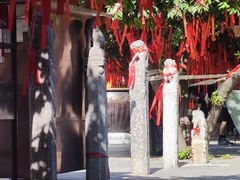 -西安乐游原