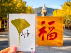 -灵山胜境