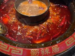 -蜀辣居鲜货老火锅(红牌楼店)