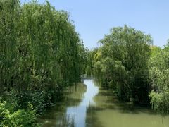 -同里国家湿地公园