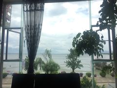 -野菌皇海景野生菌火锅(滨海大道店)