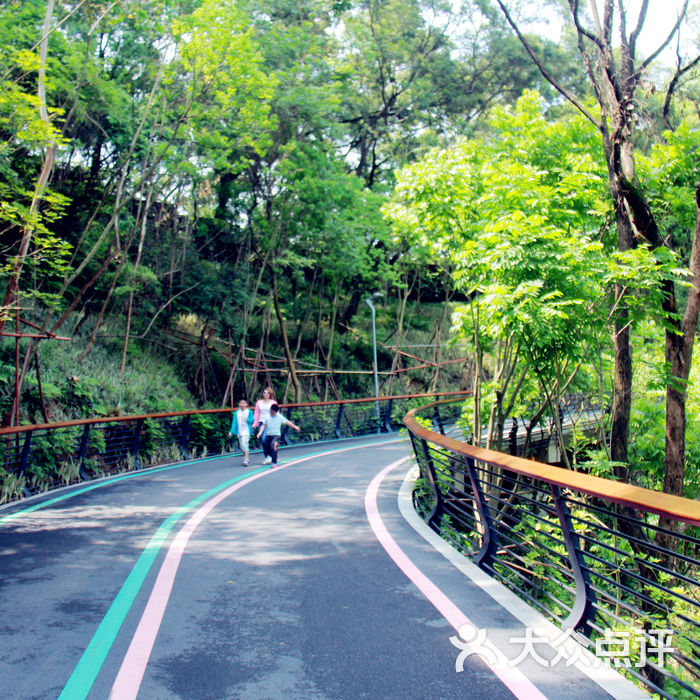 大腹山山地步道