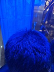 -碧莲盛·不剃发植发