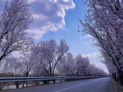 -桃花岛风景旅游区