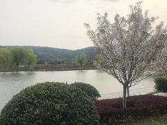 -龙寺生态园