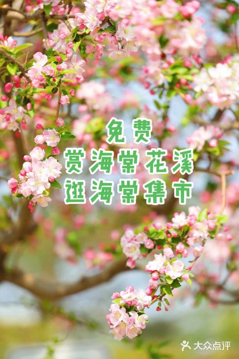 元大都城垣遗址公园图片