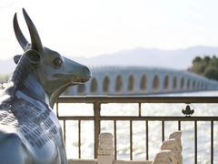 -颐和园