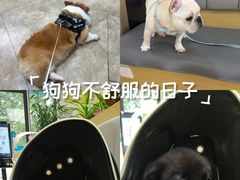-美联众合动物医院·24h转诊中心