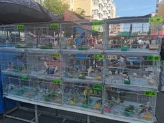 -哈尔滨道外花鸟鱼市场