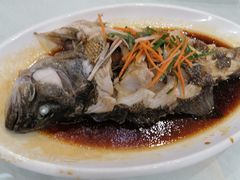 -北纬39度天津宴(黑牛城道店)