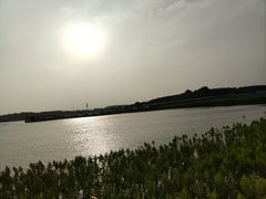 -梁子湖东篱老屋生态庄园