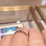 莱绅通灵王后系列
