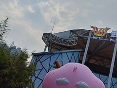 -武汉市青少年宫水上世界