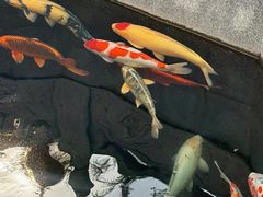 -西安市广仁寺