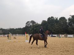 -重庆和泰马术俱乐部