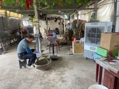 -马陆小张葡萄园农家乐