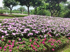 -广州莲花山旅游区