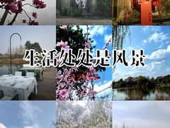 -白鹭湾湿地公园