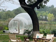 -Supine Bistro溯泮餐厅