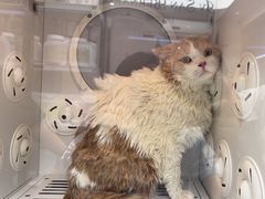 -FAELING PETS美天灵宠物(富力广场店)