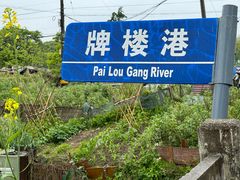 -金山嘴渔村