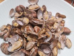 -清雅臻品·竹林院落·新派青岛菜(崂山店)