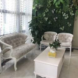 -苗医生草本科技祛痘