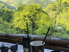 -西双版纳原始森林公园