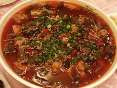 -陶然居·重庆菜(解放碑店)