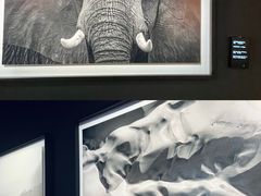 -罗红摄影艺术馆