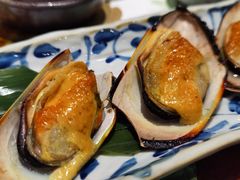 -黑松白鹿(新活馆店)