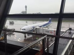 -全日本空输株式会社(上海办事处)