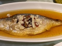 清蒸鲥鱼-光明邨大酒家(淮海路店)