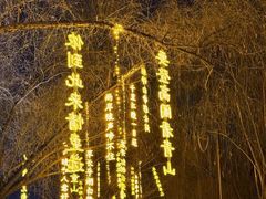 -万泉公园