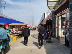 -中环花鸟鱼虫市场