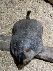 -酷嗒动物文化乐园(cutezoo西溪乐天城店)